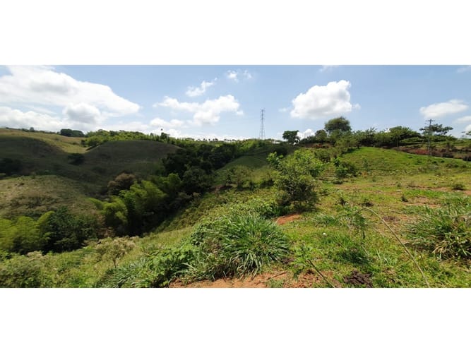 Lote en venta en Cerritos, Pereira, 13500 m² · foto 7 de 9