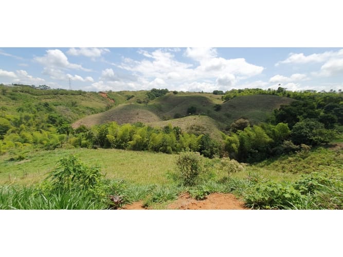 Lote en venta en Cerritos, Pereira, 13500 m² · foto 8 de 9