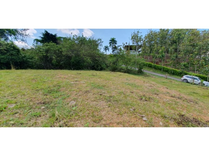 Lote en venta en Cerritos, Pereira, 11103 m² · foto 2 de 8