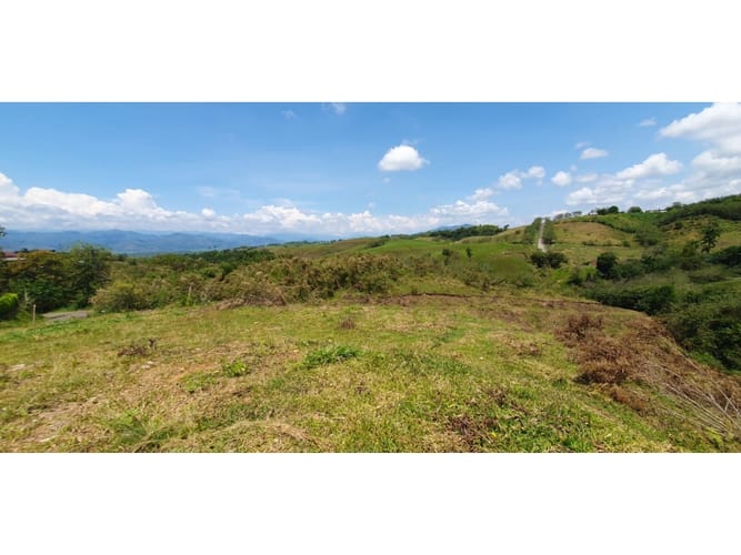 Lote en venta en Cerritos, Pereira, 11103 m² · foto 4 de 8