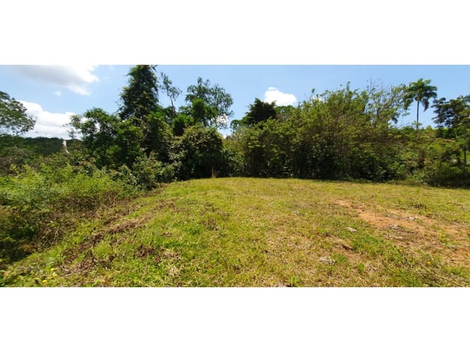 Lote en venta en Cerritos, Pereira, 11103 m² · foto 6 de 8