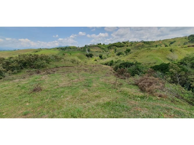 Lote en venta en Cerritos, Pereira, 11103 m² · foto 7 de 8