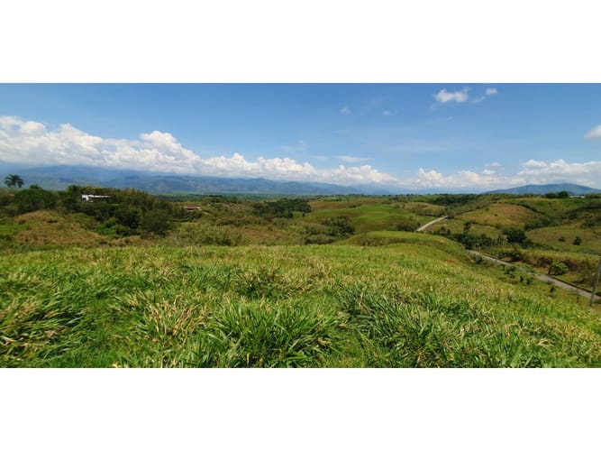 Lote en venta en Cerritos, Pereira, 10022 m² · foto 2 de 6
