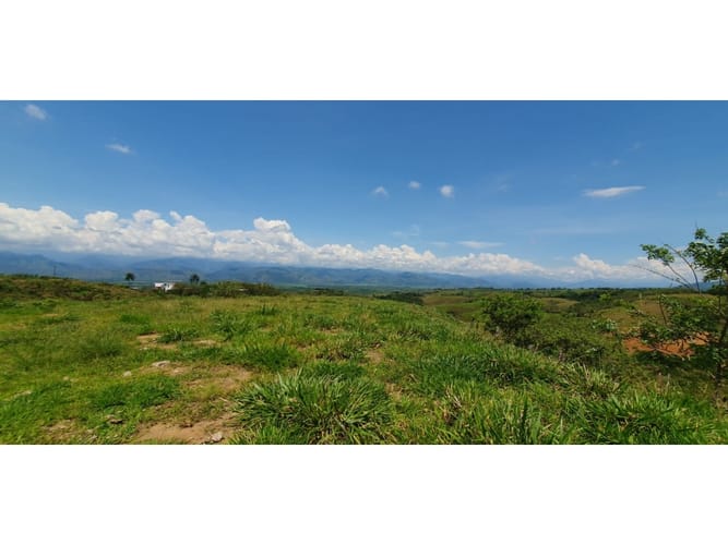 Lote en venta en Cerritos, Pereira, 10022 m² · foto 3 de 6