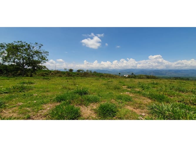 Lote en venta en Cerritos, Pereira, 10022 m² · foto 4 de 6