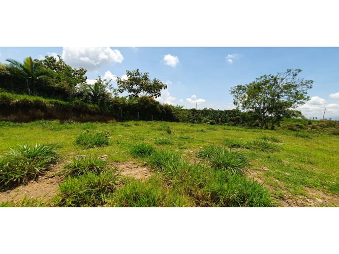 Lote en venta en Cerritos, Pereira, 10022 m² · foto 5 de 6