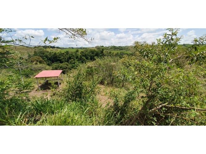 Lote en venta en Cerritos, Pereira, 11052 m² · foto 2 de 4