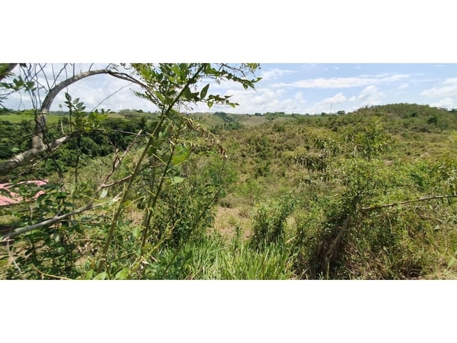 Lote en venta en Cerritos, Pereira, 11052 m² · foto 3 de 4