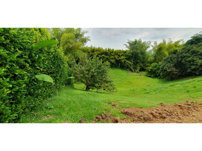 Lote en venta en Cerritos, Pereira, 3700 m² · foto 5 de 7