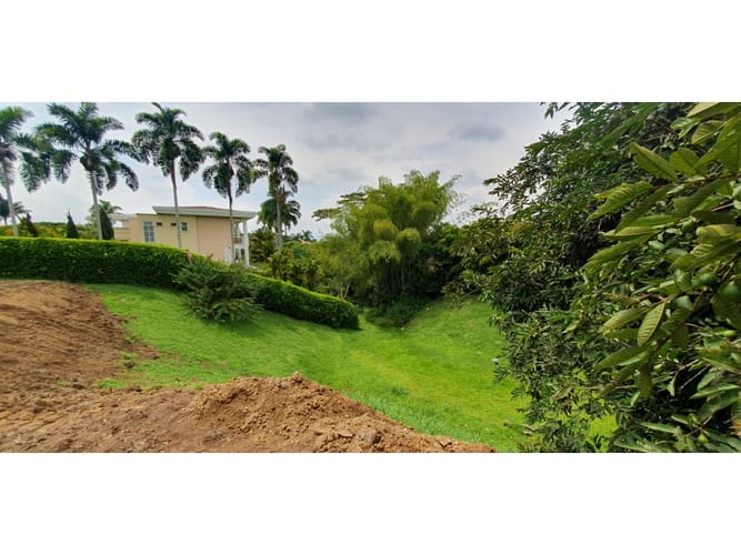 Lote en venta en Cerritos, Pereira, 3700 m² · foto 7 de 7