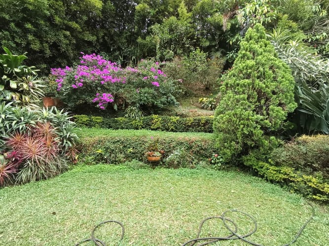 Casa de 3 alcobas en arriendo en El Poblado, Medellín, 210 m² · foto 2 de 20