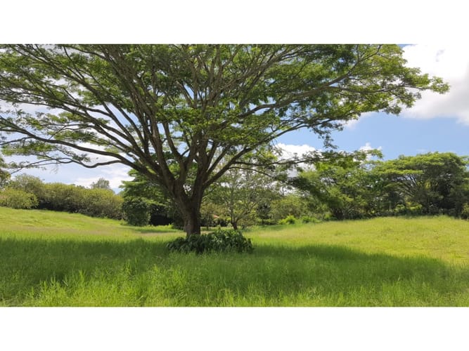 Lote en venta en Cerritos, Pereira, 5954 m² · foto 2 de 5