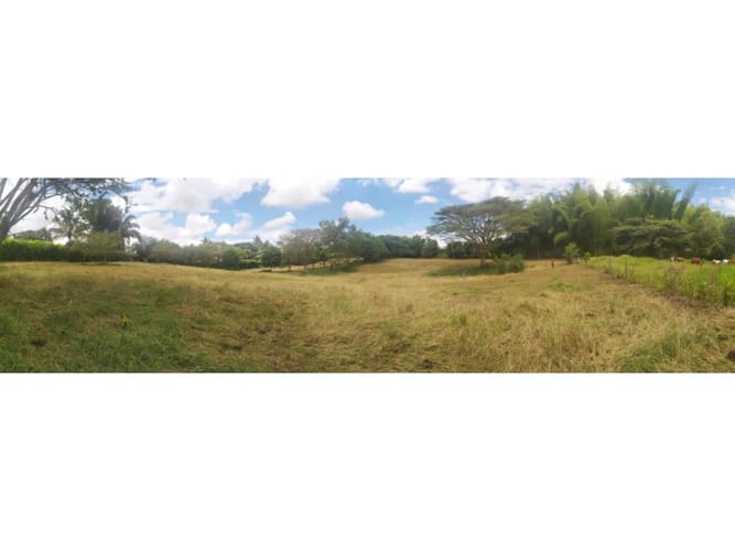 Lote en venta en Cerritos, Pereira, 5954 m² · foto 3 de 5