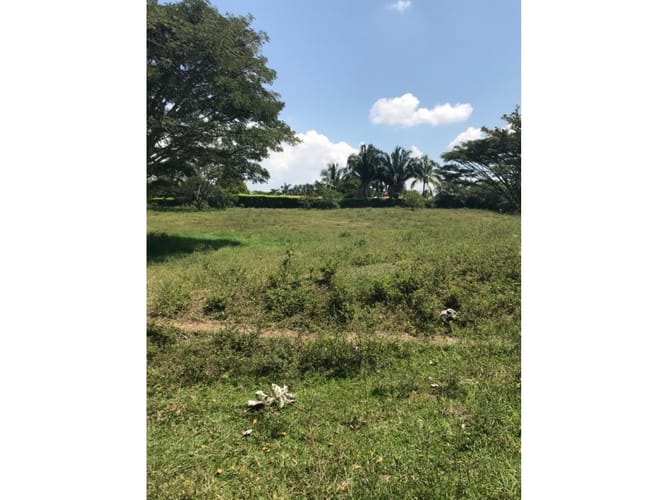 Lote en venta en Cerritos, Pereira, 5954 m² · foto 4 de 5