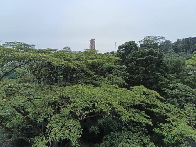 Apartamento de 2 alcobas en arriendo en Urbanización Las Cumbres, Medellín, 100 m² · foto 8 de 14