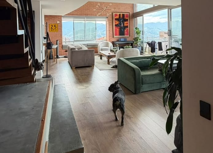 Apartamento de 3 alcobas en arriendo en El Poblado, Medellín, 177 m² · foto 5 de 17