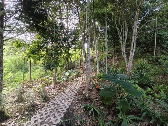 Casa de 3 alcobas en arriendo en Guarne, 240 m² · foto 9 de 20