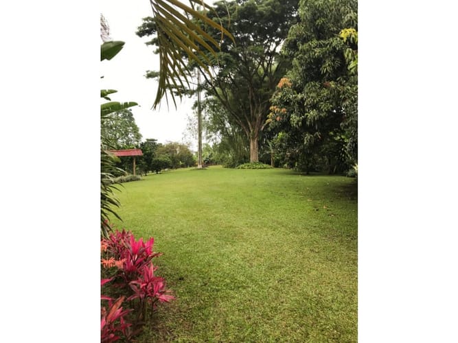 Finca en venta en Evaristo Garcia, Pereira, 450 m² · foto 2 de 24