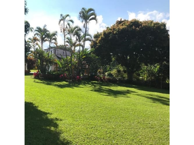 Finca en venta en Evaristo Garcia, Pereira, 450 m² · foto 3 de 24