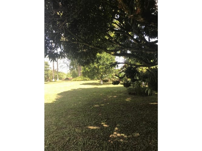 Finca en venta en Evaristo Garcia, Pereira, 450 m² · foto 4 de 24