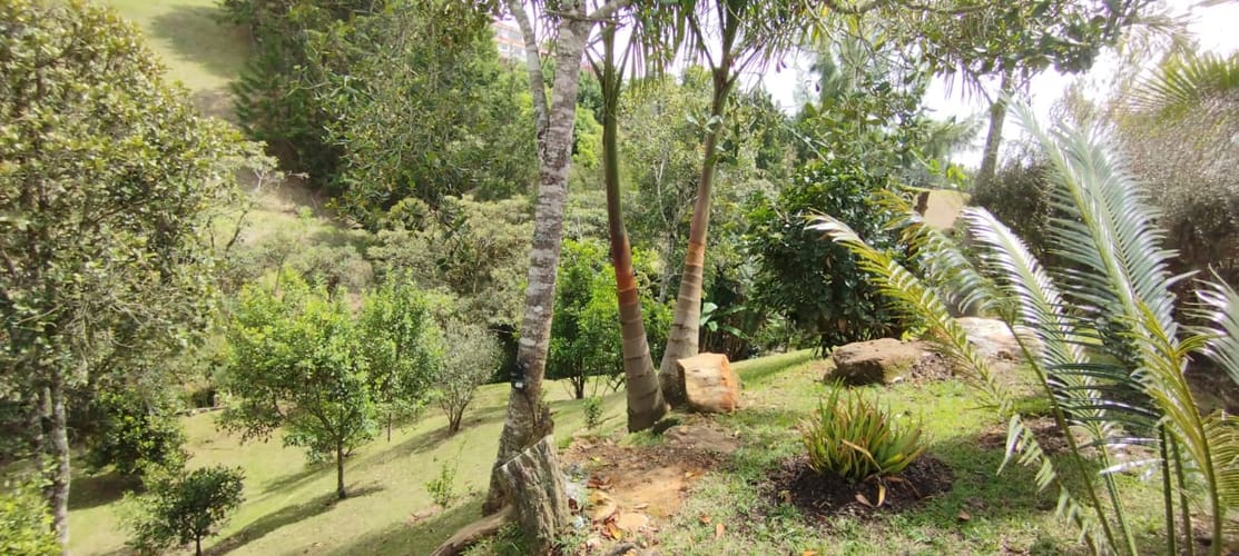 Finca en arriendo en Sajonia, Rionegro, 540 m² · foto 3 de 12