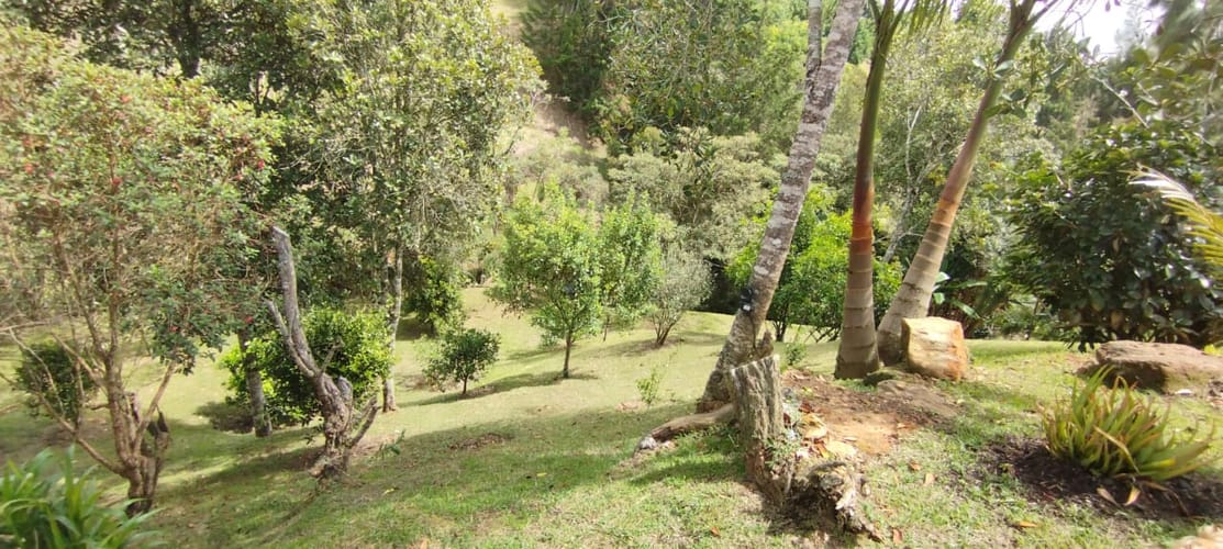 Finca en arriendo en Sajonia, Rionegro, 540 m² · foto 4 de 12