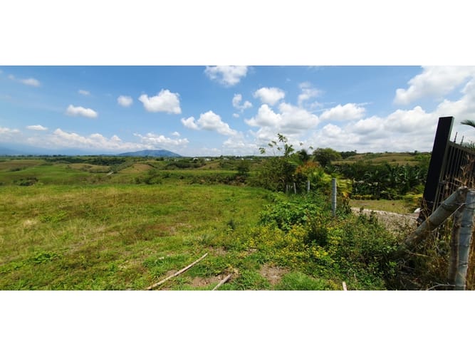 Lote en venta en Cerritos, Pereira, 11403 m² · foto 3 de 9