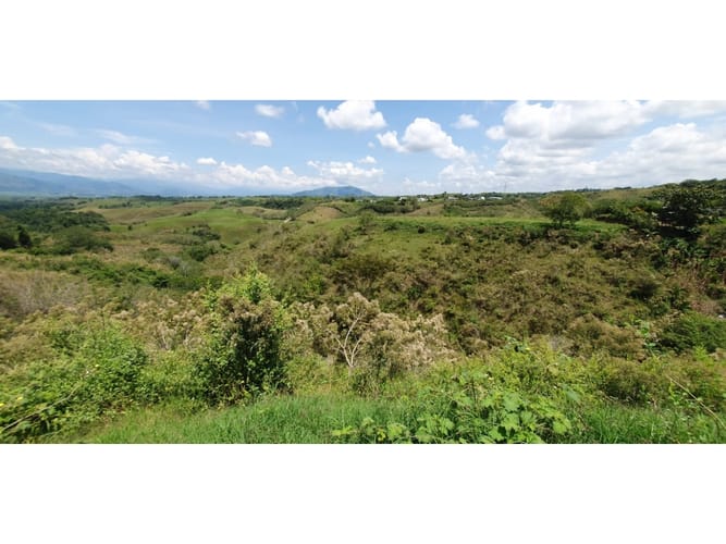 Lote en venta en Cerritos, Pereira, 11403 m² · foto 4 de 9