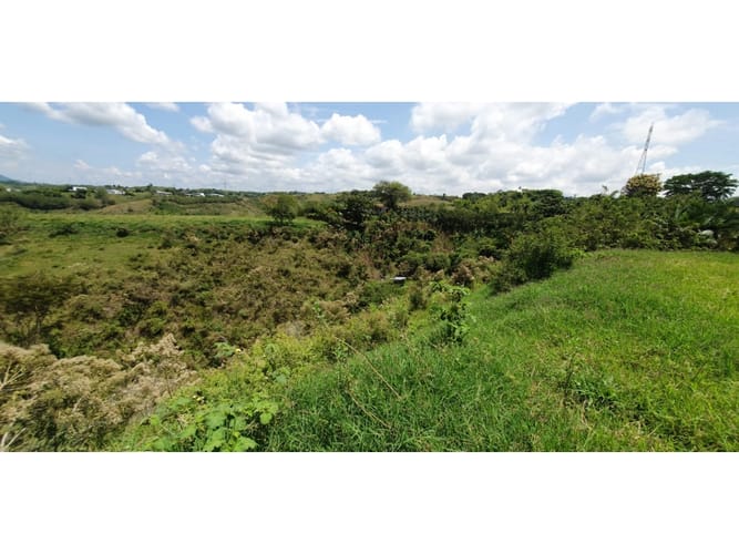 Lote en venta en Cerritos, Pereira, 11403 m² · foto 5 de 9