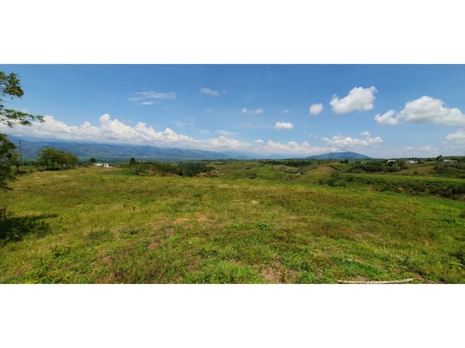 Lote en venta en Cerritos, Pereira, 11403 m² · foto 6 de 9