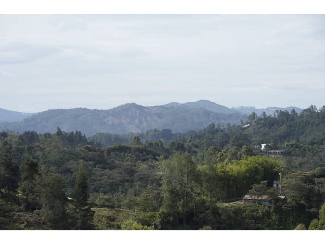 Lote en venta en El Portento, El Retiro, 1686 m² · foto 11 de 12