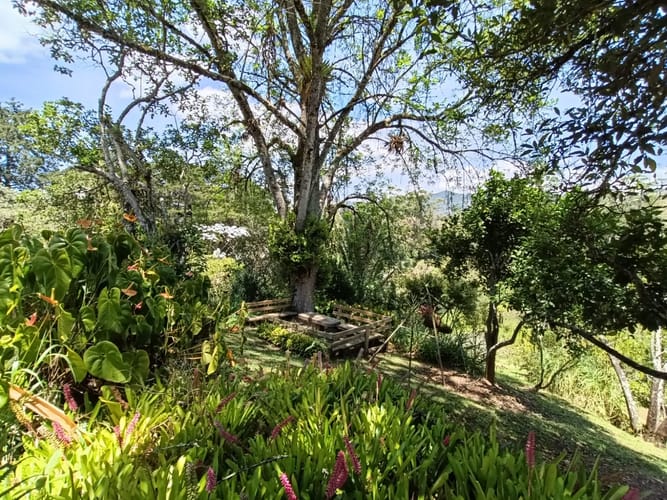 Finca en arriendo en El Tablazo, Rionegro, 250 m² · foto 5 de 20