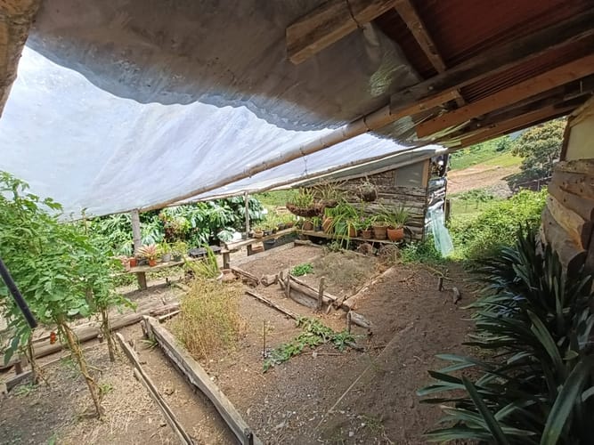 Finca en arriendo en El Tablazo, Rionegro, 250 m² · foto 6 de 20
