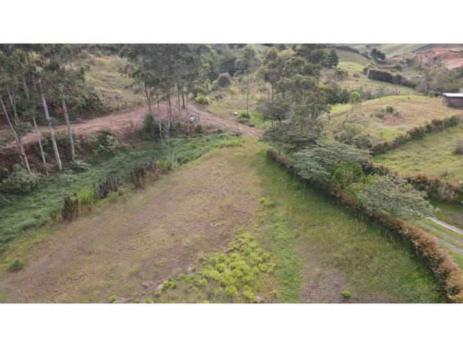 Lote en venta en El Carmen De Viboral, El Carmen de Viboral, 2663 m² · foto 7 de 21
