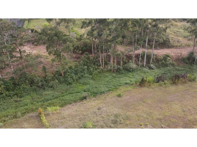 Lote en venta en El Carmen De Viboral, El Carmen de Viboral, 2663 m² · foto 8 de 21