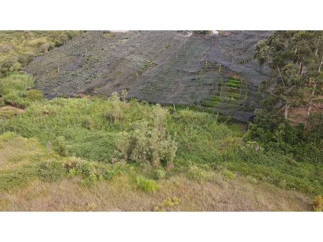 Lote en venta en El Carmen De Viboral, El Carmen de Viboral, 2663 m² · foto 9 de 21