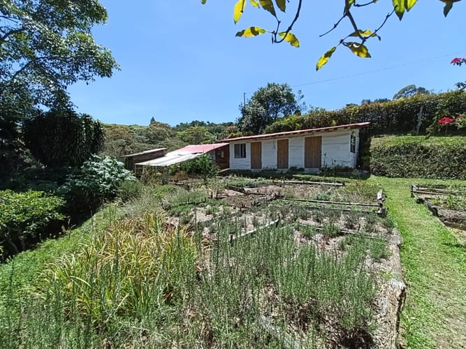 Finca en arriendo en El Tablazo, Rionegro, 250 m² · foto 12 de 20
