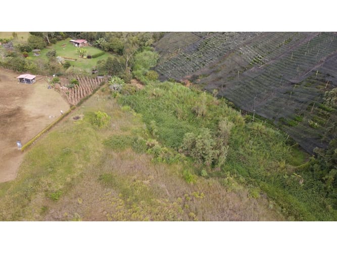 Lote en venta en El Carmen De Viboral, El Carmen de Viboral, 2663 m² · foto 13 de 21