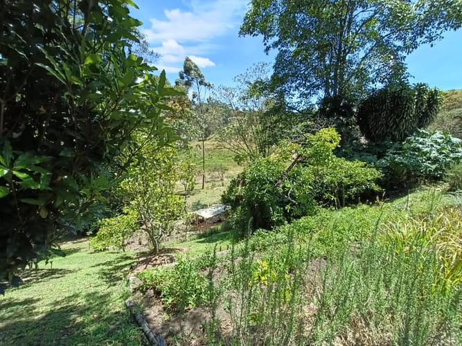 Finca en arriendo en El Tablazo, Rionegro, 250 m² · foto 14 de 20