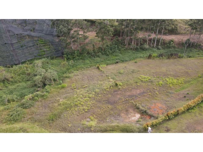 Lote en venta en El Carmen De Viboral, El Carmen de Viboral, 2663 m² · foto 14 de 21