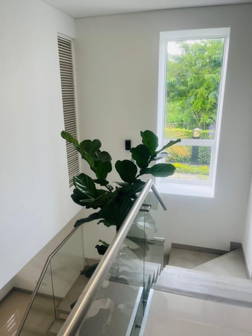 Casa de 3 alcobas en arriendo en Pance, Cali, 128 m² · foto 13 de 24