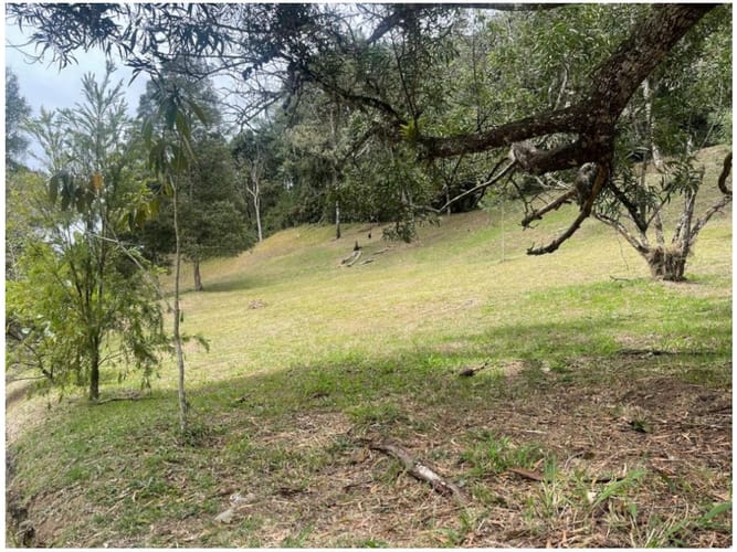 Lote en venta en Pantanillo, El Retiro, 2331 m² · foto 2 de 14