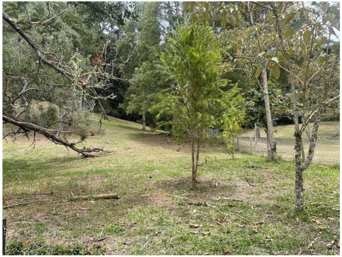 Lote en venta en Pantanillo, El Retiro, 2331 m² · foto 3 de 14