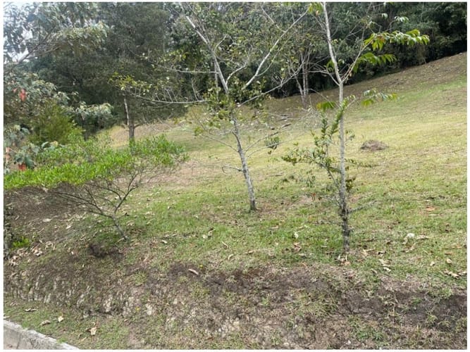 Lote en venta en Pantanillo, El Retiro, 2331 m² · foto 4 de 14