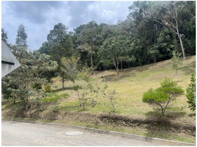 Lote en venta en Pantanillo, El Retiro, 2331 m² · foto 7 de 14