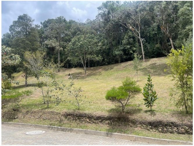 Lote en venta en Pantanillo, El Retiro, 2331 m² · foto 8 de 14