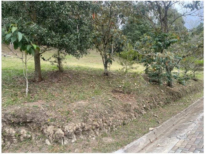 Lote en venta en Pantanillo, El Retiro, 2331 m² · foto 9 de 14