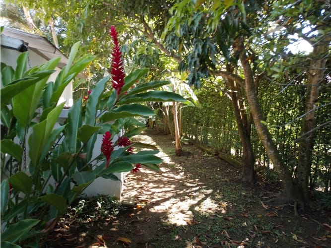 Casa de 3 alcobas en venta en La Morada, Jamundí, 210 m² · foto 12 de 24