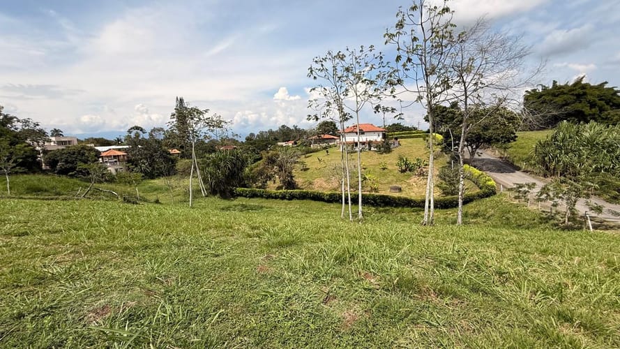 Lote en arriendo en Cerritos, Pereira, 4200 m² · foto 2 de 8