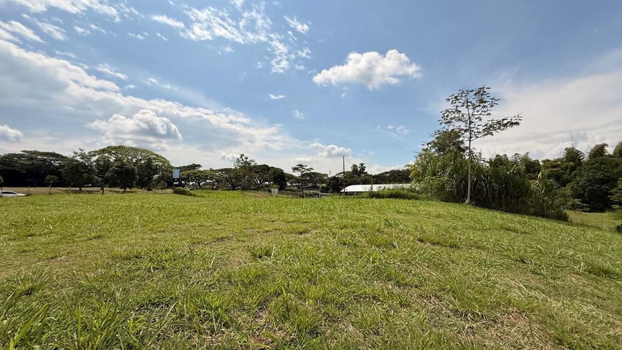 Lote en arriendo en Cerritos, Pereira, 4200 m² · foto 3 de 8
